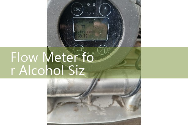Flow Meter for Alcohol Sizing: ATEX-Certified Explosion-Proof Sensors for Distilleries